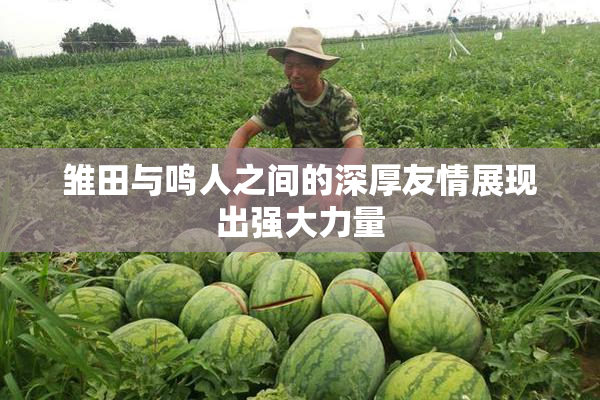 雏田与鸣人之间的深厚友情展现出强大力量