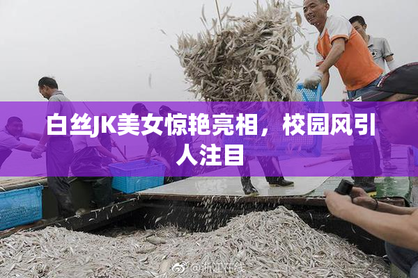 白丝JK美女惊艳亮相，校园风引人注目