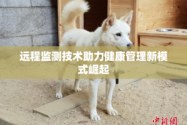 远程监测技术助力健康管理新模式崛起
