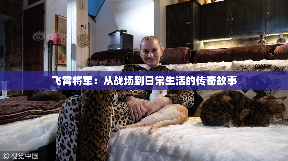 飞霄将军：从战场到日常生活的传奇故事