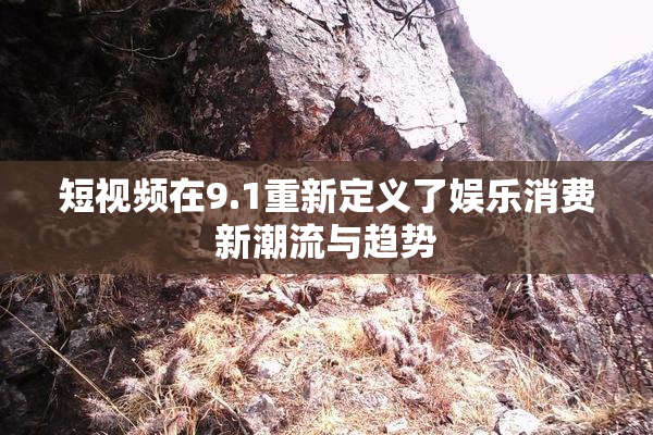 短视频在9.1重新定义了娱乐消费新潮流与趋势