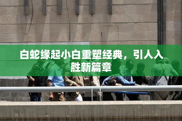 白蛇缘起小白重塑经典，引人入胜新篇章