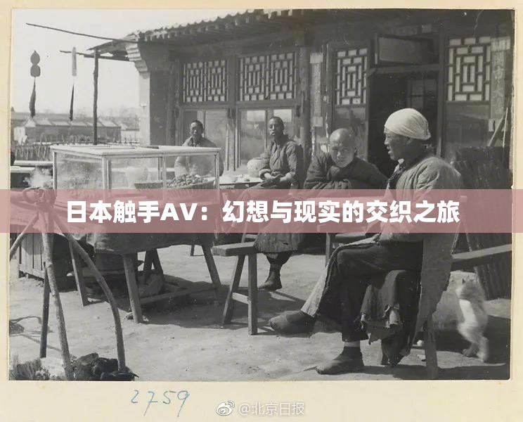 日本触手AV：幻想与现实的交织之旅