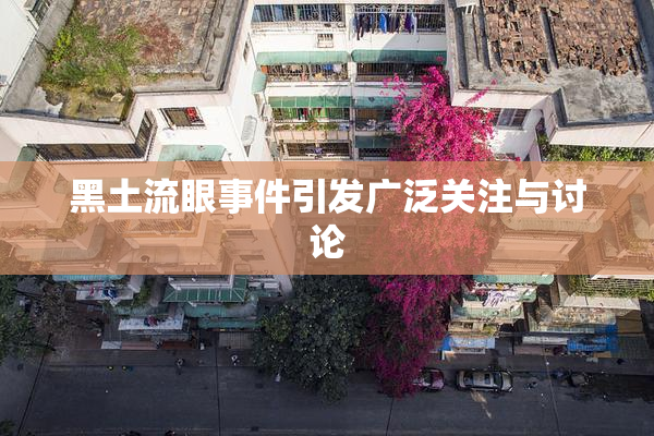 黑土流眼事件引发广泛关注与讨论