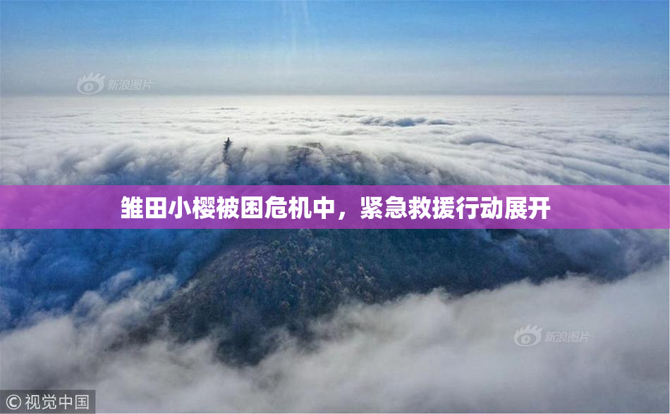 雏田小樱被困危机中，紧急救援行动展开
