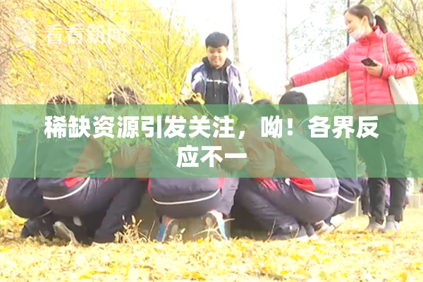 稀缺资源引发关注，呦！各界反应不一