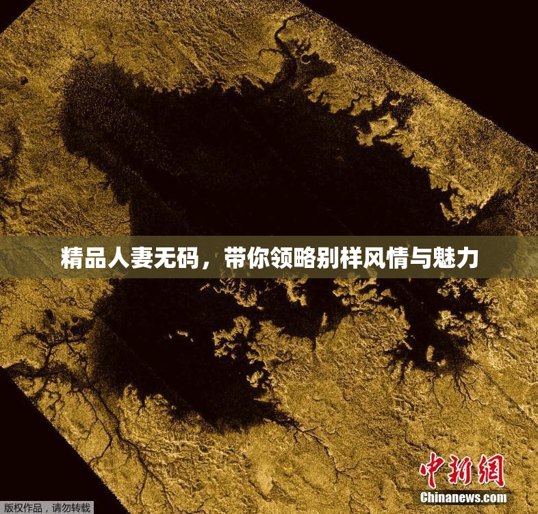 精品人妻无码，带你领略别样风情与魅力