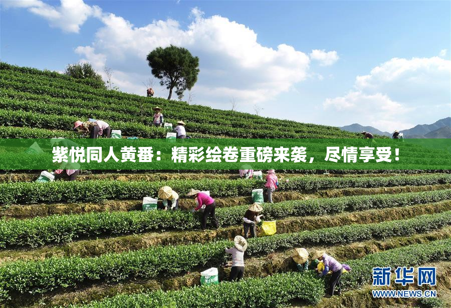 紫悦同人黄番：精彩绘卷重磅来袭，尽情享受！