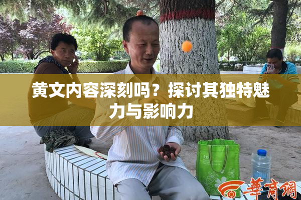 黄文内容深刻吗？探讨其独特魅力与影响力