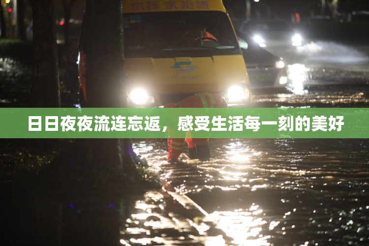 日日夜夜流连忘返，感受生活每一刻的美好