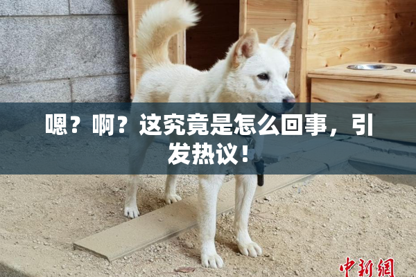 嗯？啊？这究竟是怎么回事，引发热议！