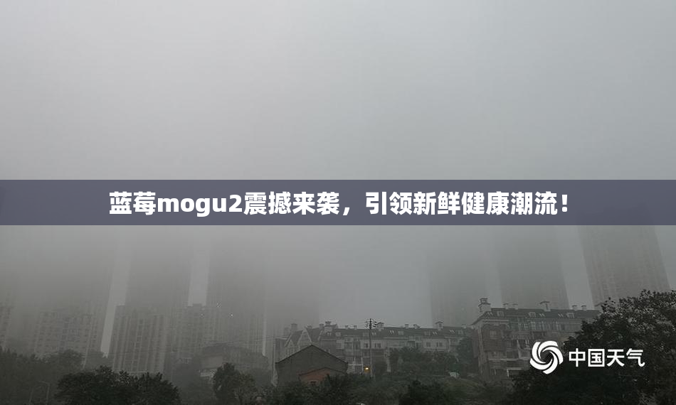 蓝莓mogu2震撼来袭，引领新鲜健康潮流！