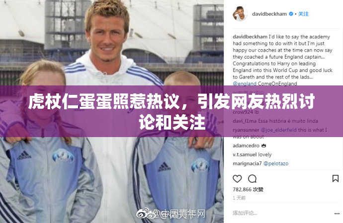 虎杖仁蛋蛋照惹热议，引发网友热烈讨论和关注
