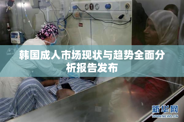 韩国成人市场现状与趋势全面分析报告发布