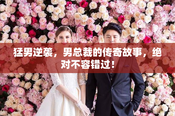 猛男逆袭，男总裁的传奇故事，绝对不容错过！