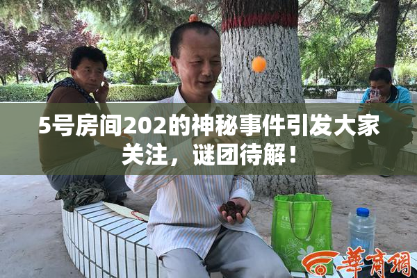5号房间202的神秘事件引发大家关注，谜团待解！