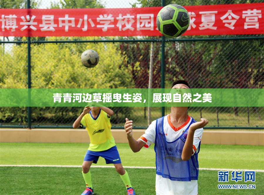 青青河边草摇曳生姿，展现自然之美
