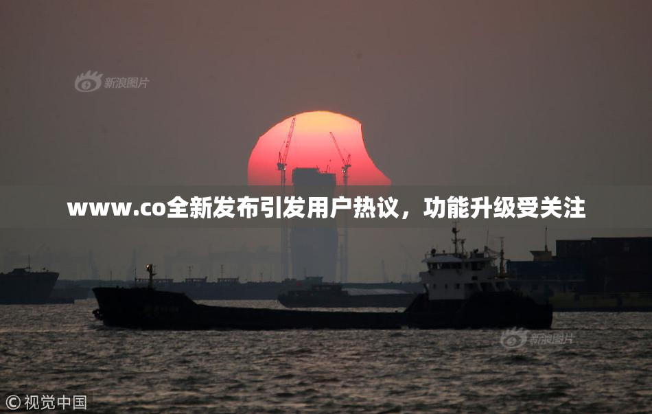 www.co全新发布引发用户热议，功能升级受关注