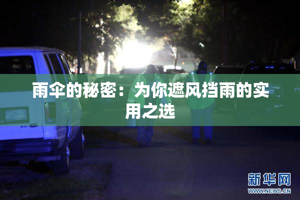 雨伞的秘密：为你遮风挡雨的实用之选