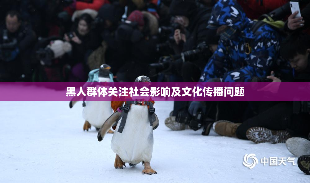 黑人群体关注社会影响及文化传播问题