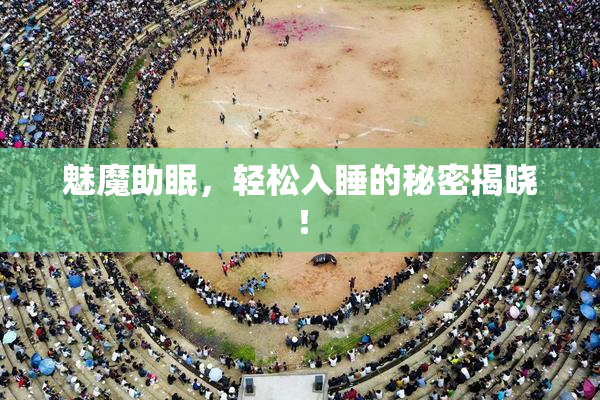 魅魔助眠，轻松入睡的秘密揭晓！