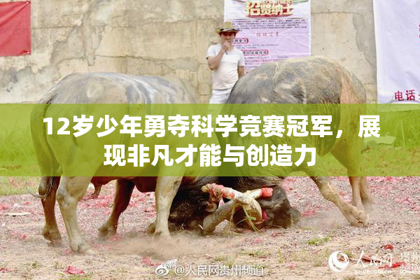 12岁少年勇夺科学竞赛冠军，展现非凡才能与创造力