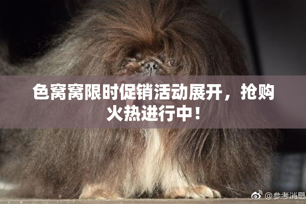 色窝窝限时促销活动展开，抢购火热进行中！