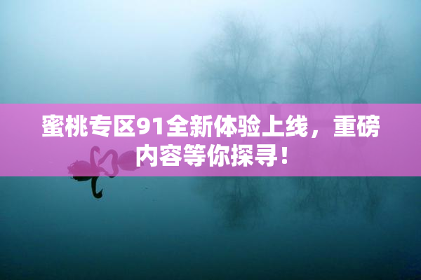 蜜桃专区91全新体验上线，重磅内容等你探寻！