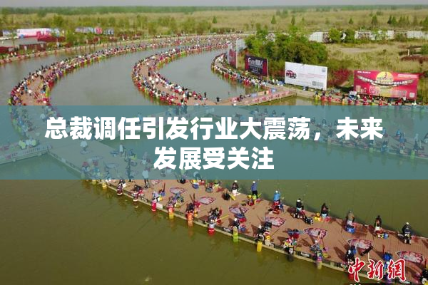 总裁调任引发行业大震荡，未来发展受关注