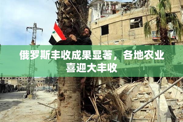 俄罗斯丰收成果显著，各地农业喜迎大丰收