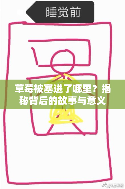 草莓被塞进了哪里？揭秘背后的故事与意义