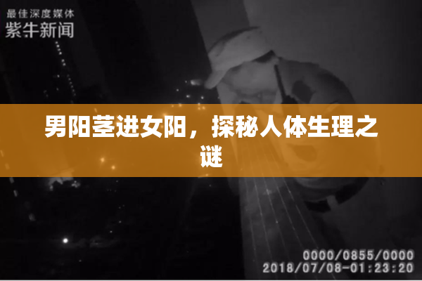 男阳茎进女阳，探秘人体生理之谜