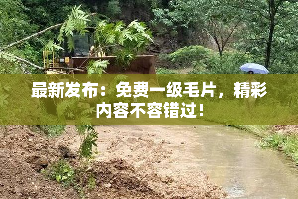最新发布：免费一级毛片，精彩内容不容错过！