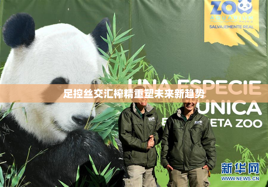 足控丝交汇榨精重塑未来新趋势