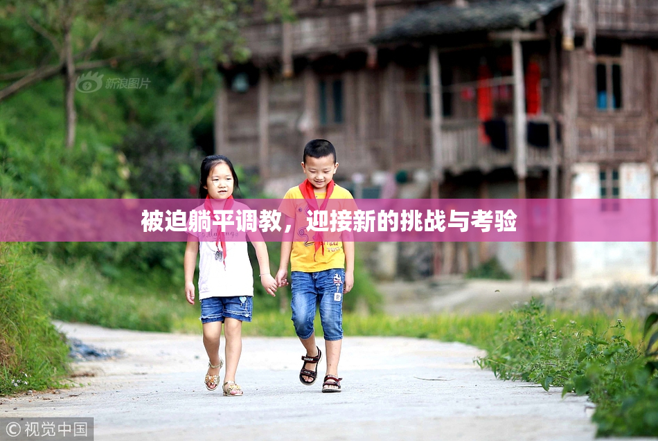 被迫躺平调教，迎接新的挑战与考验