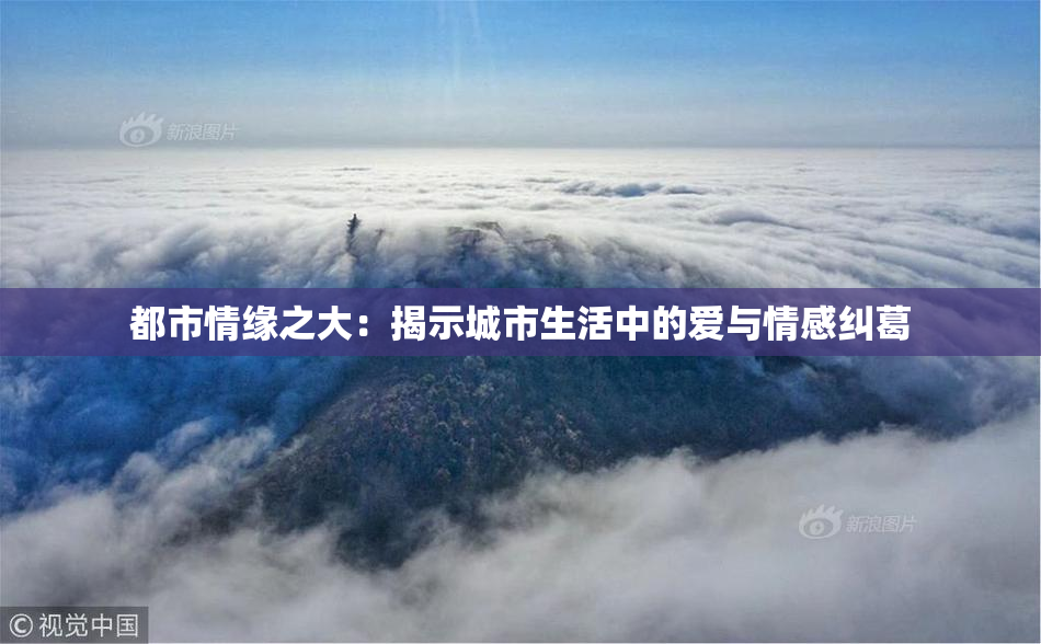 都市情缘之大：揭示城市生活中的爱与情感纠葛