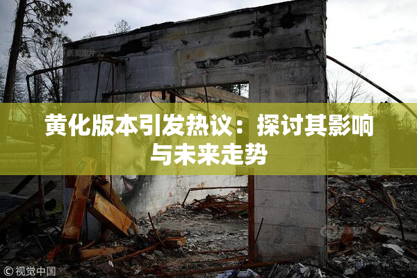 黄化版本引发热议：探讨其影响与未来走势