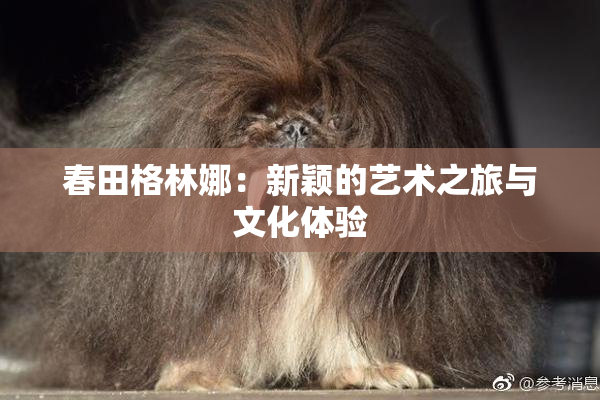 春田格林娜：新颖的艺术之旅与文化体验