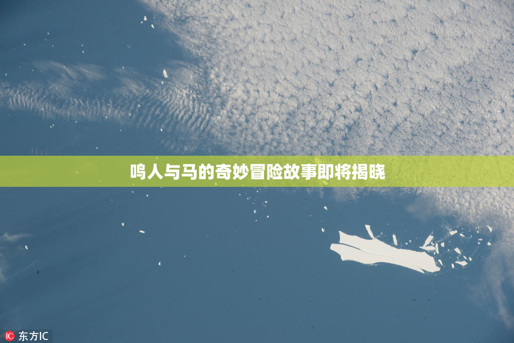 鸣人与马的奇妙冒险故事即将揭晓