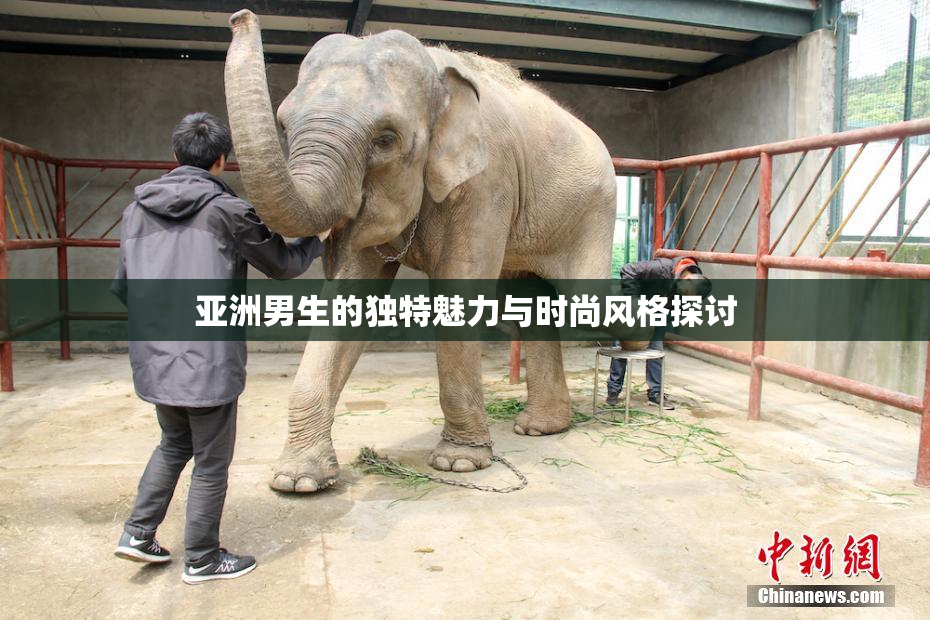 亚洲男生的独特魅力与时尚风格探讨