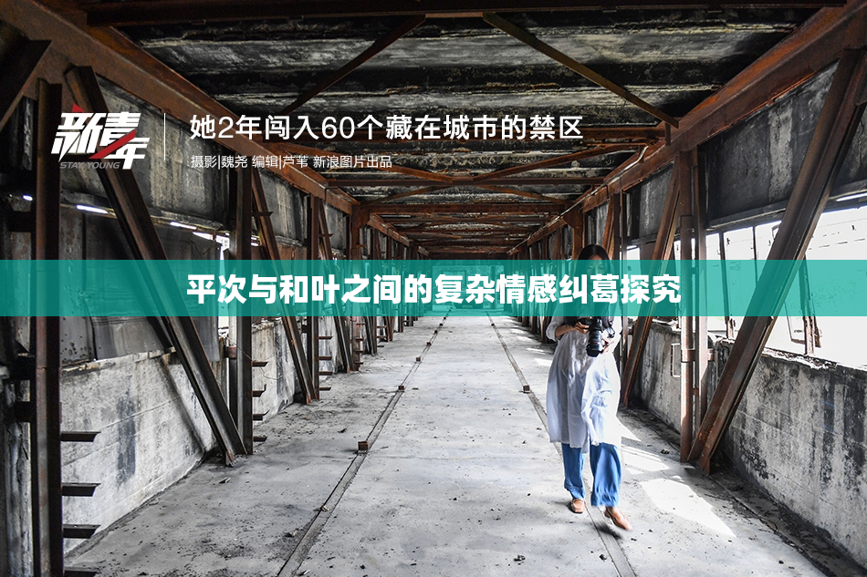平次与和叶之间的复杂情感纠葛探究