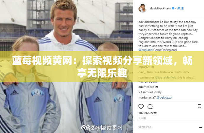蓝莓视频黄网：探索视频分享新领域，畅享无限乐趣