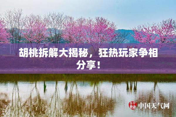 胡桃拆解大揭秘，狂热玩家争相分享！