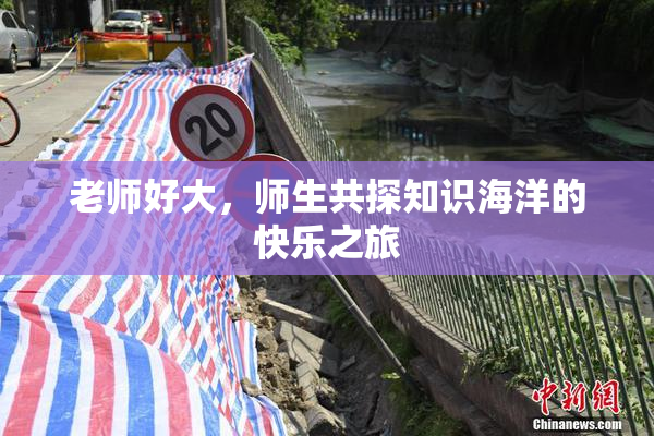 老师好大，师生共探知识海洋的快乐之旅