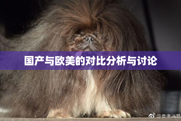 国产与欧美的对比分析与讨论