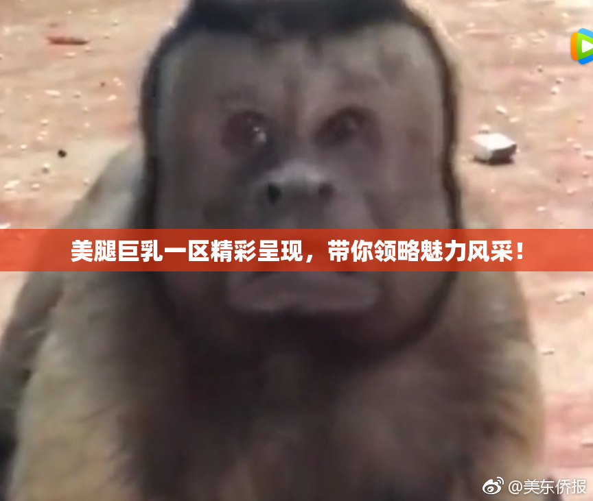美腿巨乳一区精彩呈现，带你领略魅力风采！