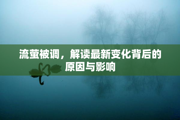 流萤被调，解读最新变化背后的原因与影响