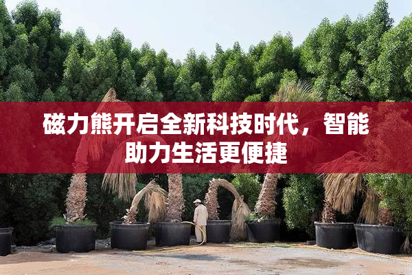 磁力熊开启全新科技时代，智能助力生活更便捷