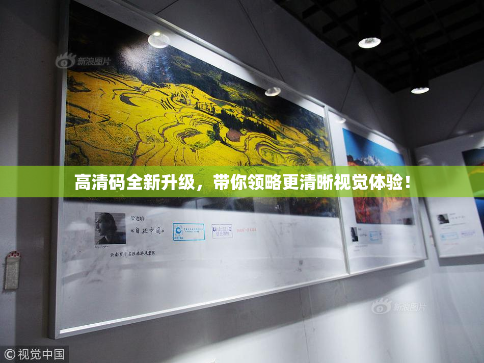 高清码全新升级，带你领略更清晰视觉体验！