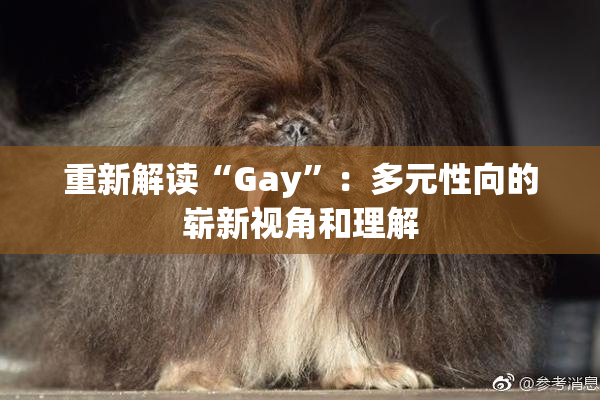 重新解读“Gay”：多元性向的崭新视角和理解